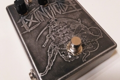 RAT-6